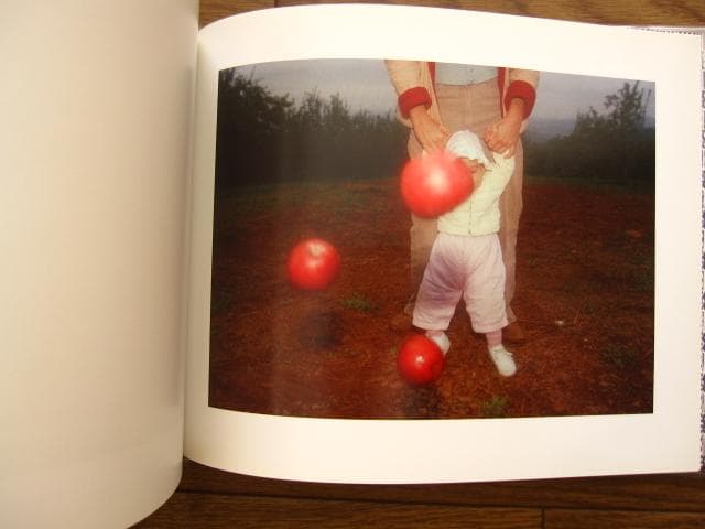 BABE　Michael Northrup　マイケル・ノースラップ