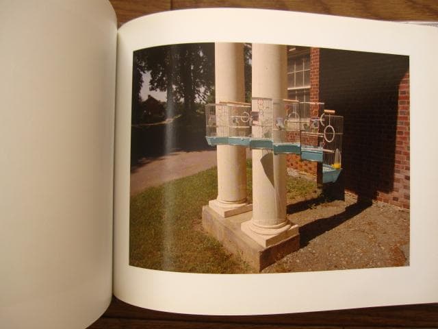 BABE　Michael Northrup　マイケル・ノースラップ