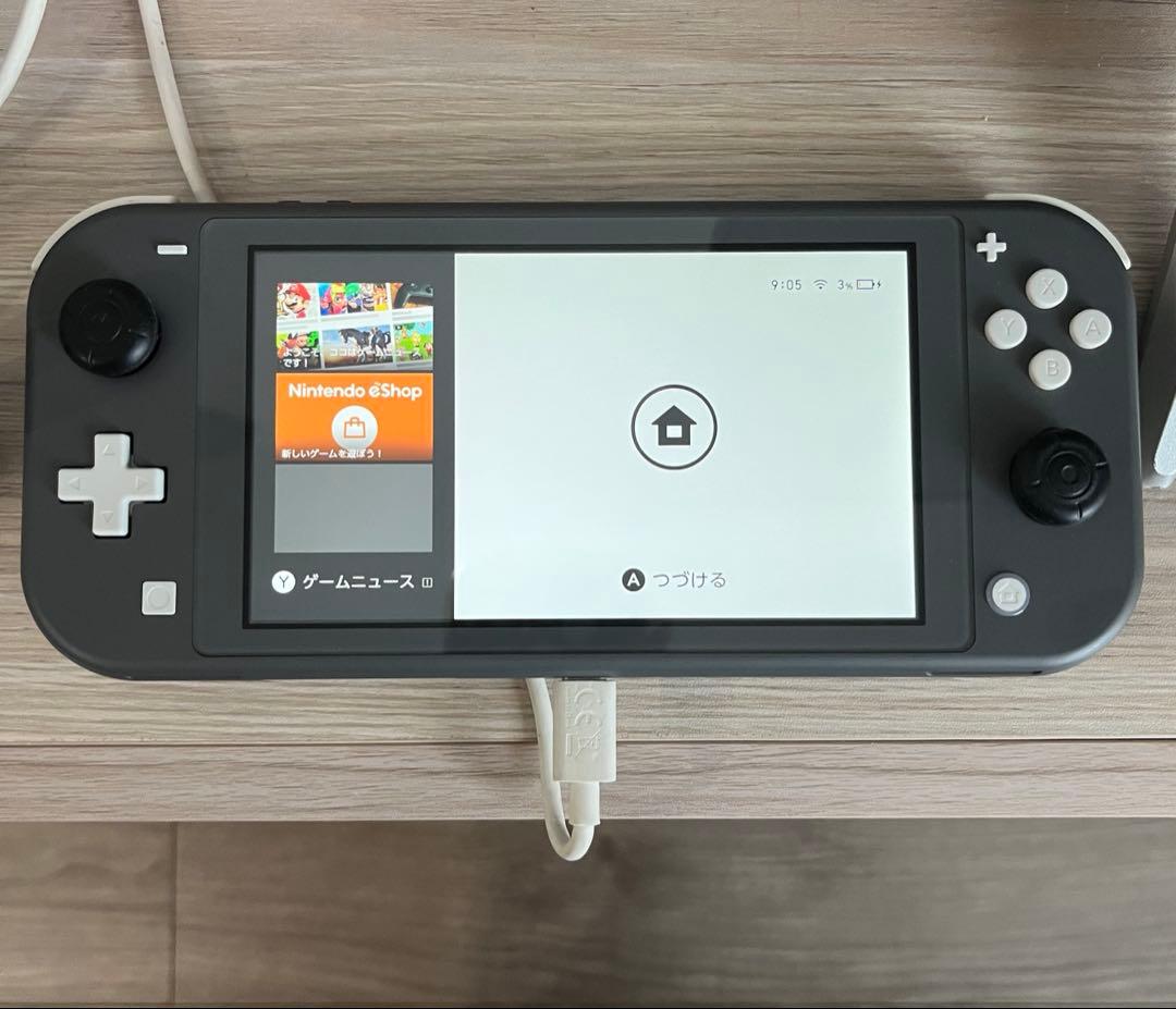 Nintendo Switch/スイッチライト/美品/付属品有