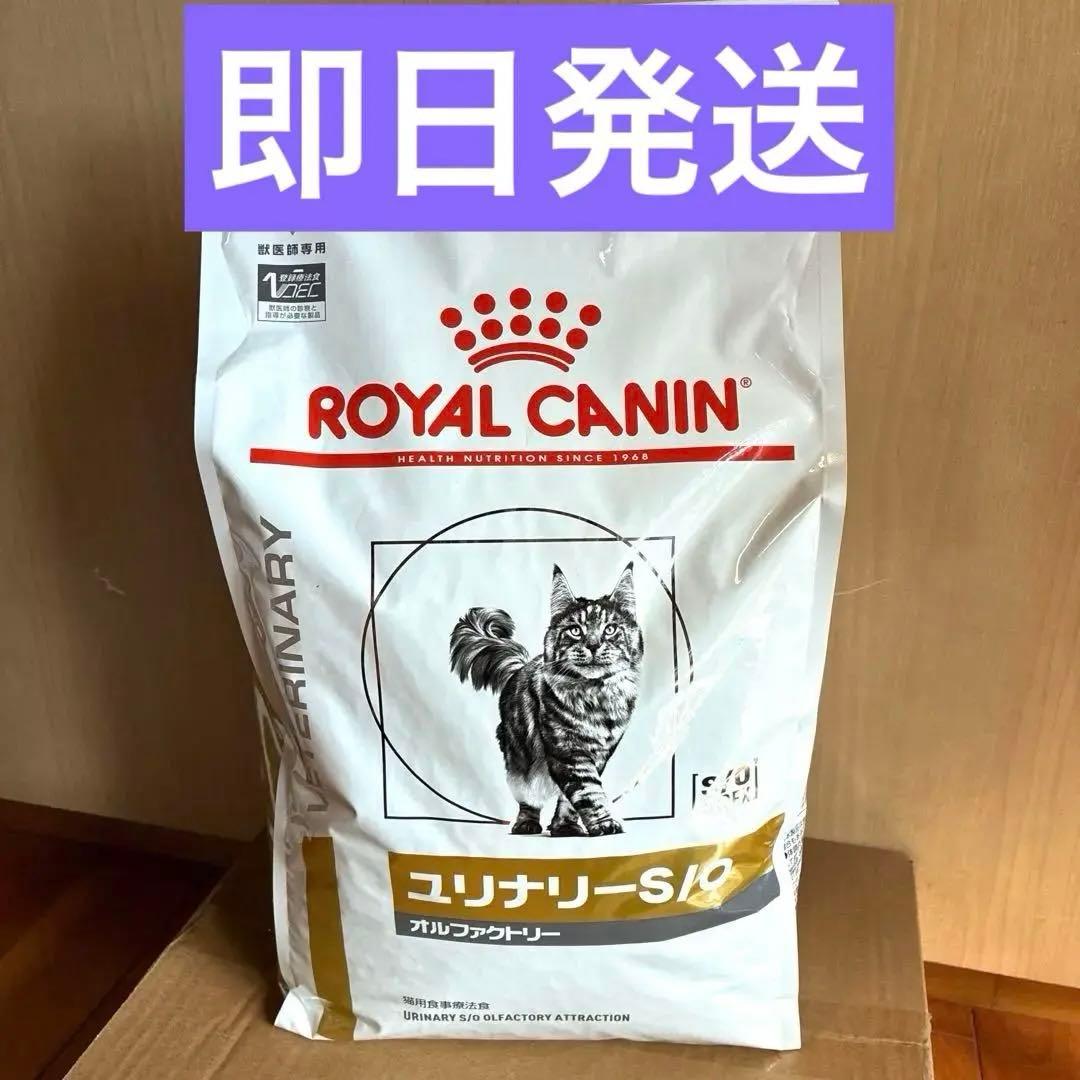 正規品 ロイヤルカナン　ユリナリーs/o オルファクトリー 4kg