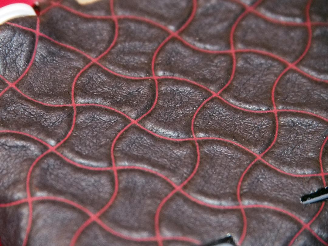 Nintendo Switch Lite ハードケース（禍々しい）