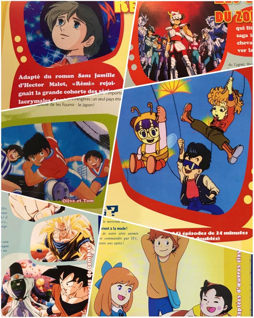 【洋書・仏語】NOS DESSINS animes 70-80 【レトロアニメ】