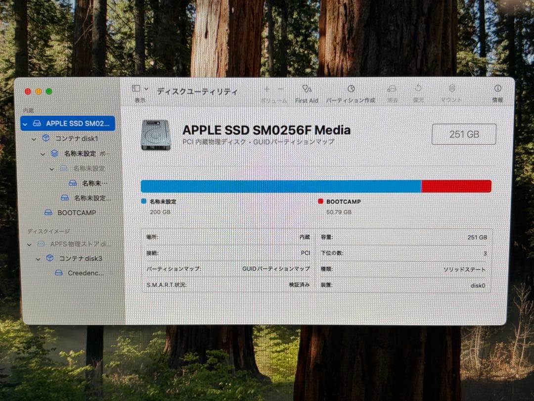 Macデスクトップ Apple iMac 21.5 Late 2013 macOS+Windows