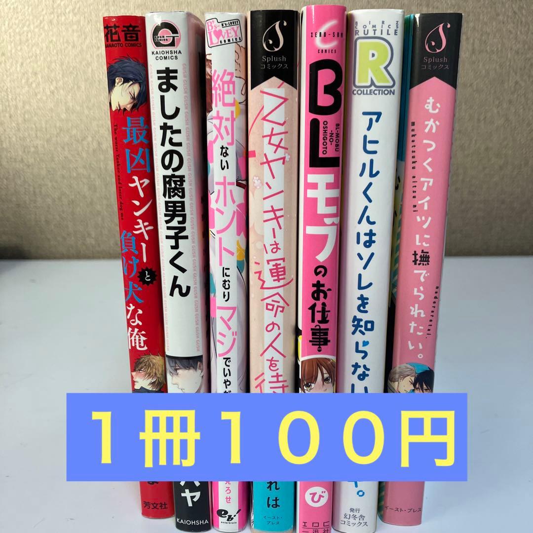 他の同梱のみ購入可