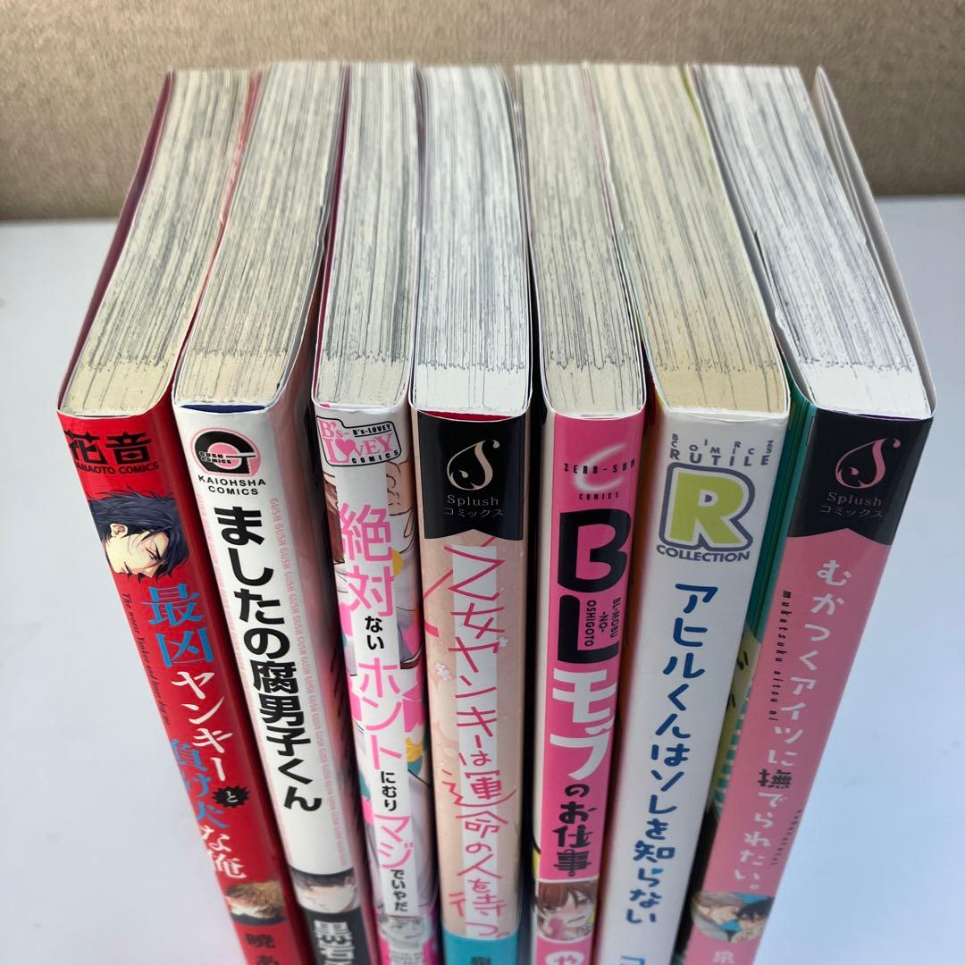 他の同梱のみ購入可