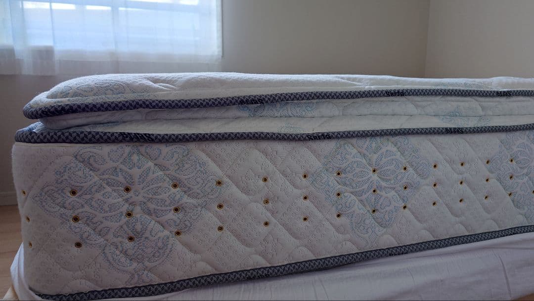 ☆RS ☆　 [美品] サータ　トラディション　2トップ6.8