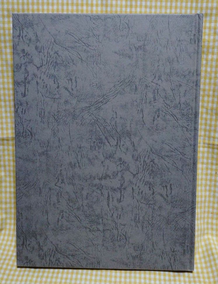 【未使用⚠️訳あり】CLAMP　聖伝　イラスト集　　　　　 　天魔劫火