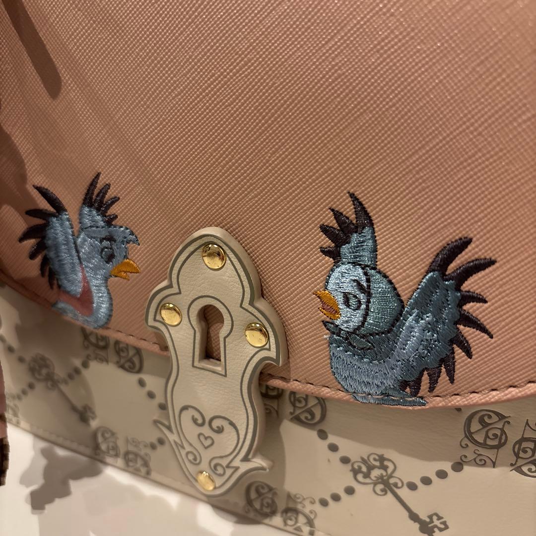 か*す様 Disney ディズニー　ダニエルニコラ　シンデレラ　ガス ショルダー