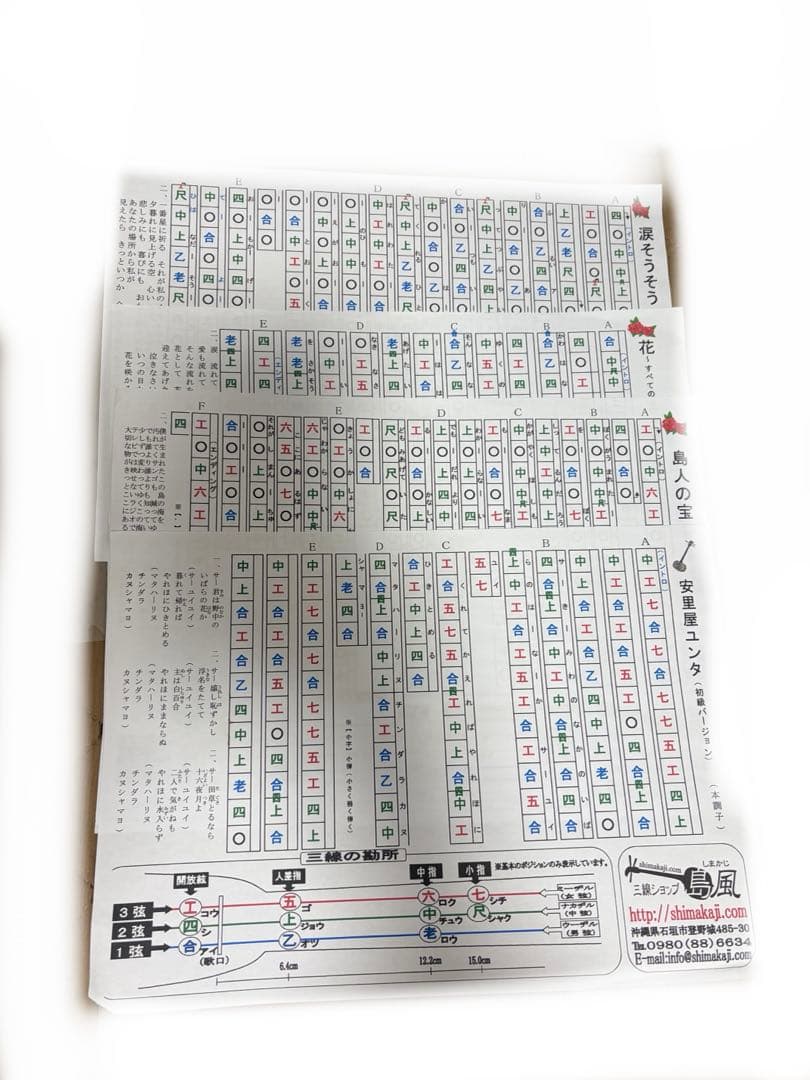 三線本体 人工蛇革　ソフトケース付き　スタンド付き　沖縄　琉球