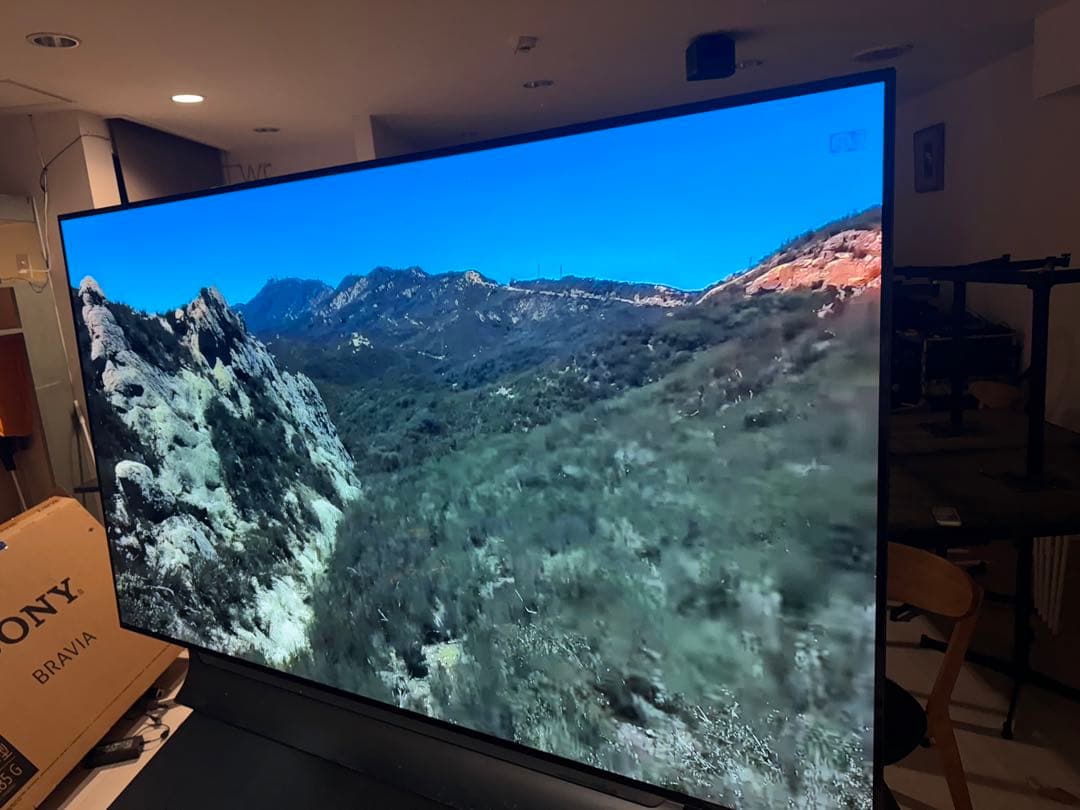 LG OLEDテレビ OLED77C8PJA