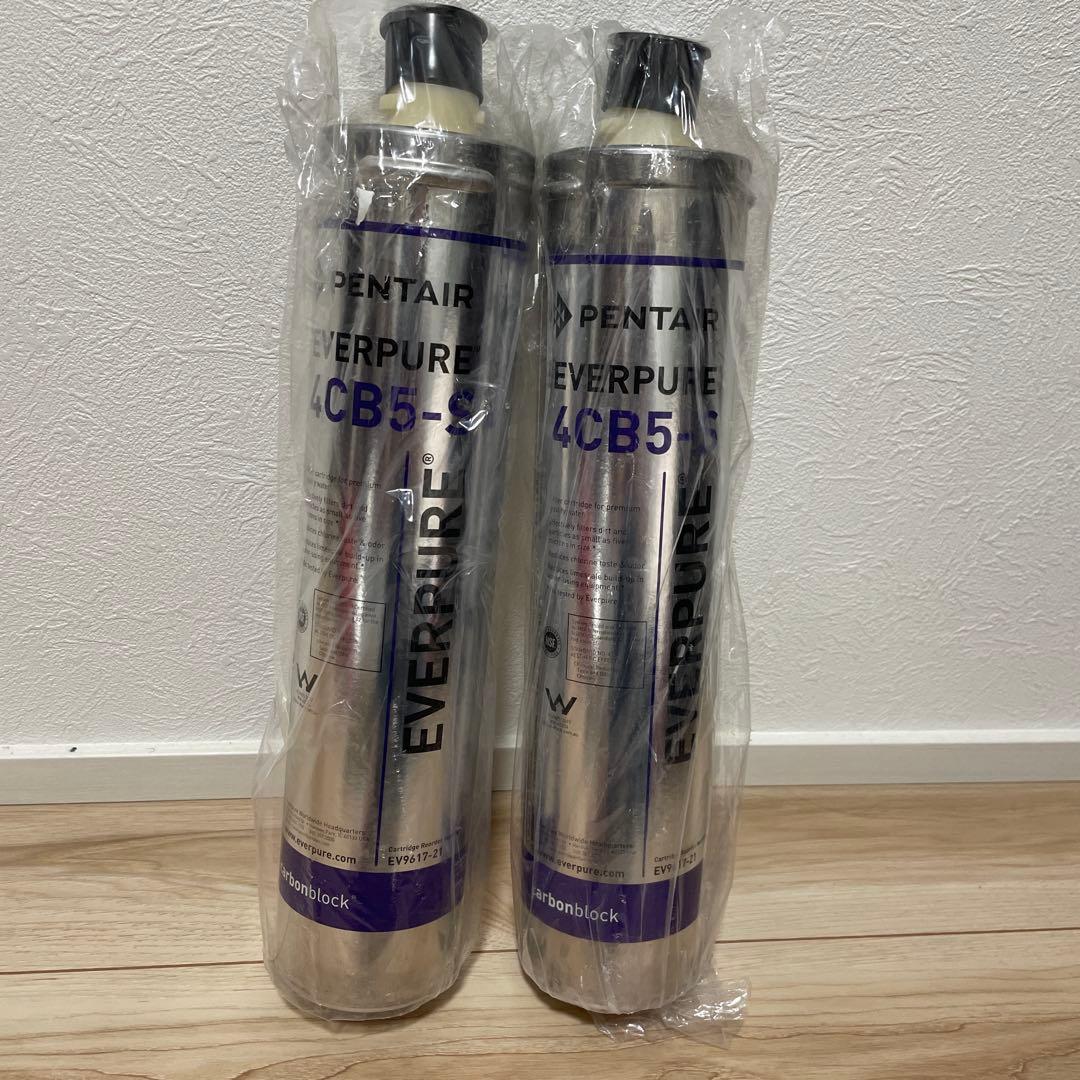 Pentair Everpure 4CB5-S 浄水器カートリッジ 2個セット