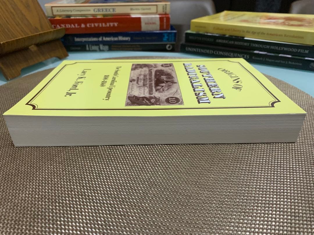 洋書 SOUTHERN RADICALISM Lacy K. Ford, Jr.