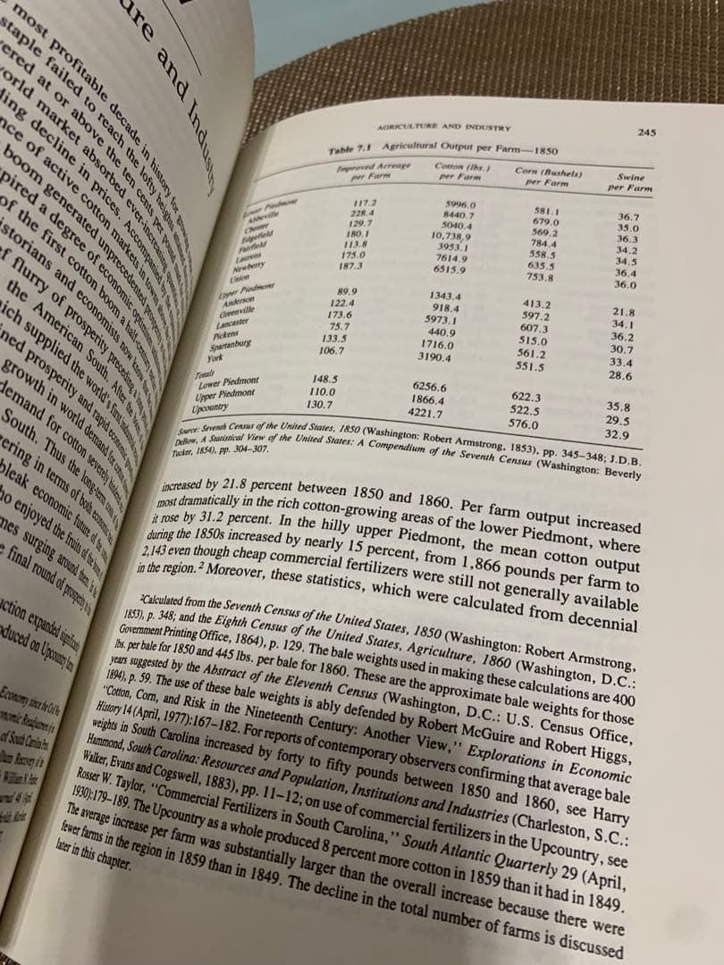 洋書 SOUTHERN RADICALISM Lacy K. Ford, Jr.