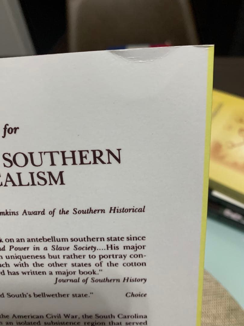 洋書 SOUTHERN RADICALISM Lacy K. Ford, Jr.
