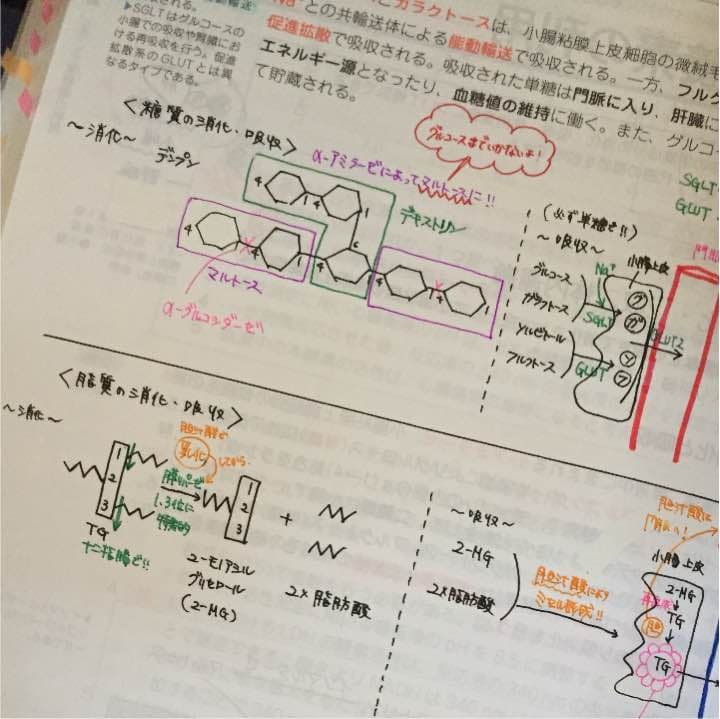 薬剤師国家試験 薬ゼミ 青本 セット