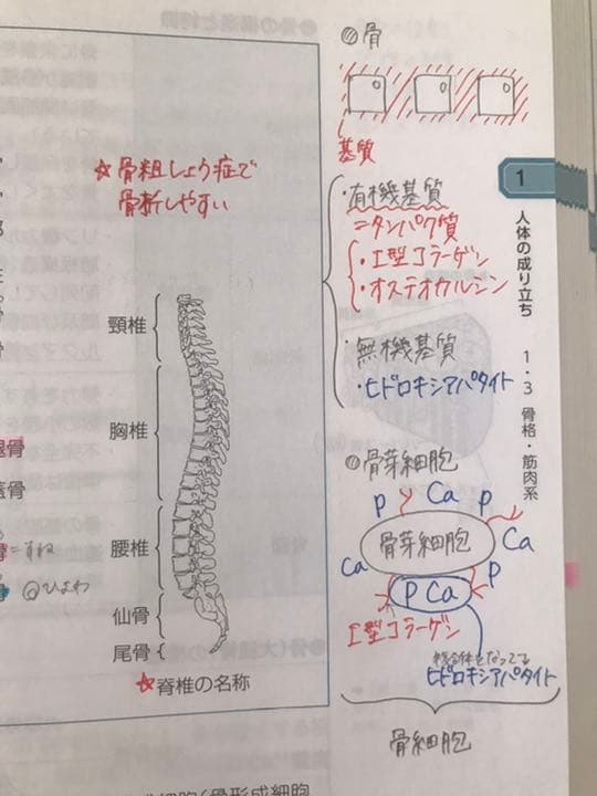 薬剤師国家試験　要点マスター青問2022年版❗️大幅値下げ