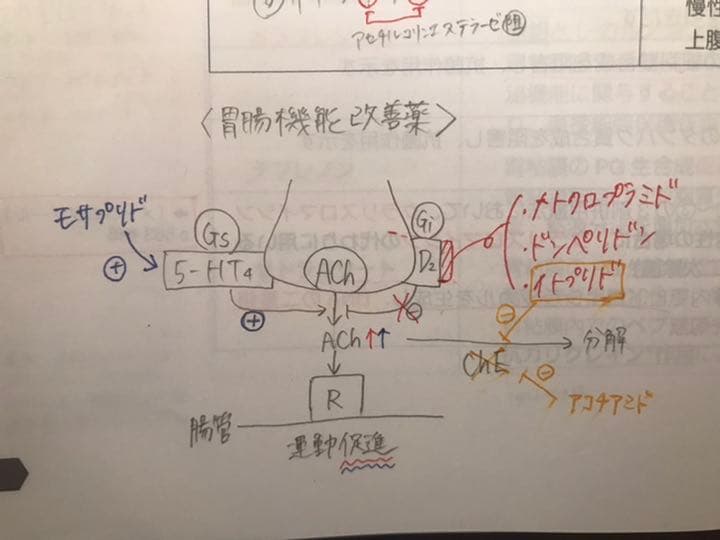 薬剤師国家試験　要点マスター青問2022年版❗️大幅値下げ