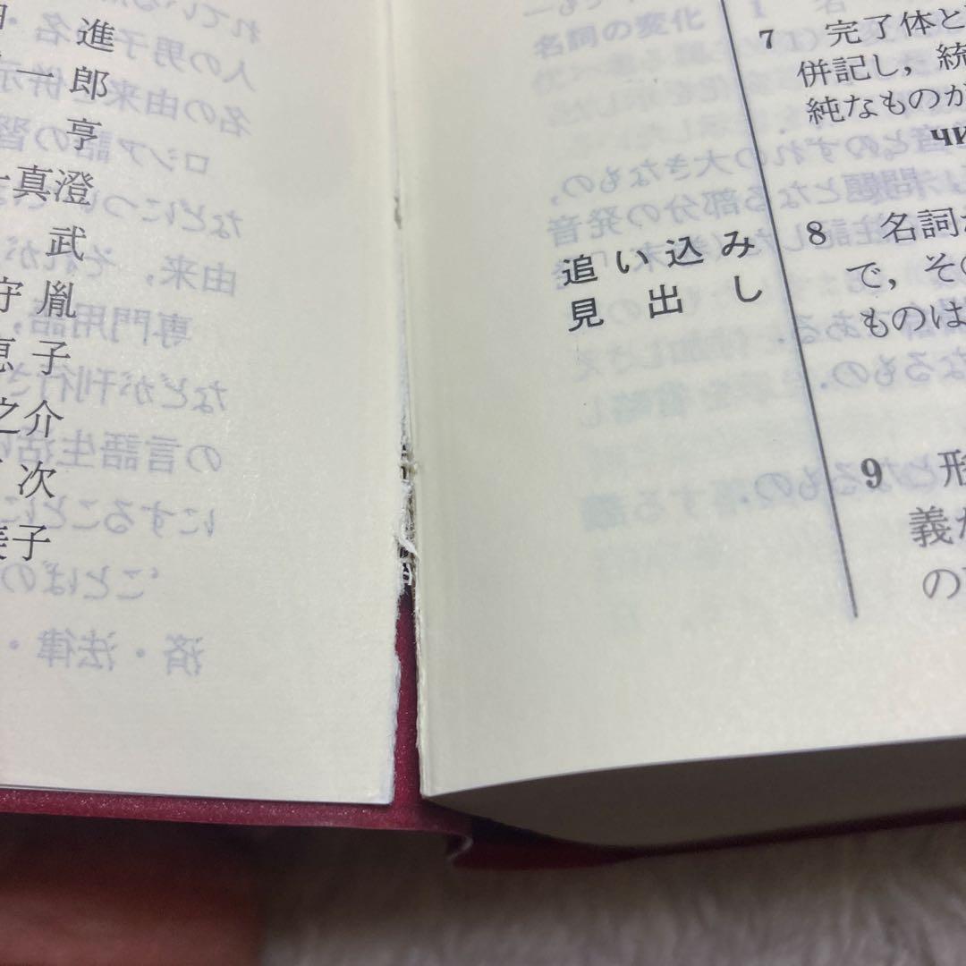 B-岩波 ロシア語辞典