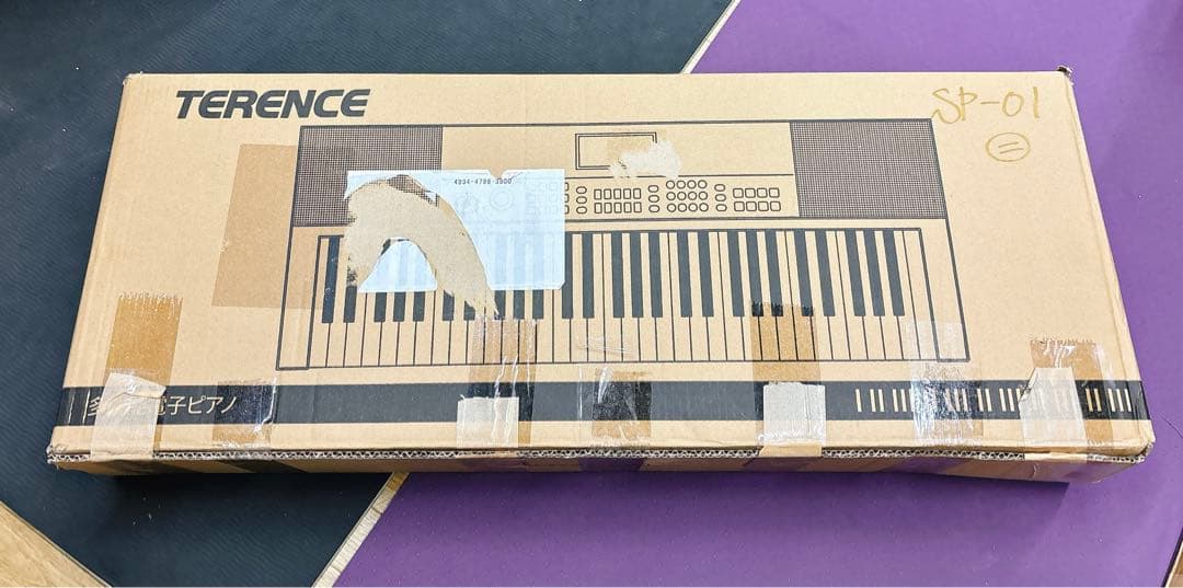 【TERENCE】電子キーボード 61鍵盤 初心者向け メトロノーム/録音