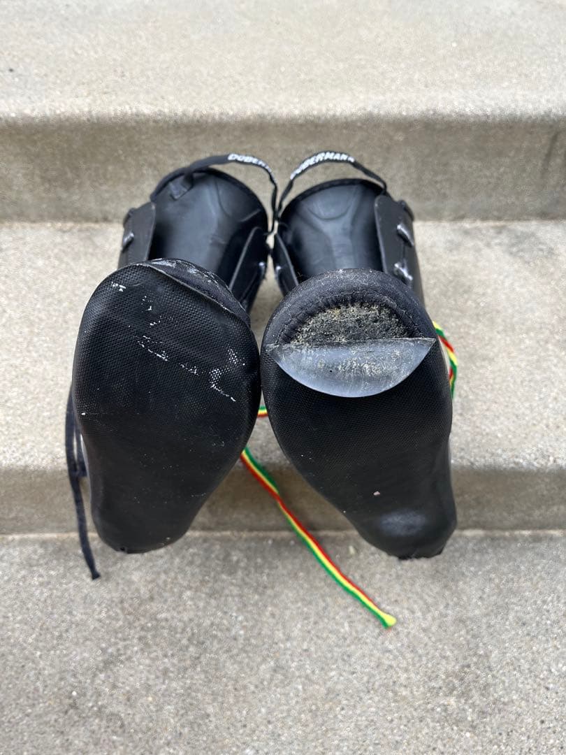 TECNICA テクニカ　FIREBIRD WC スキー用ブーツ