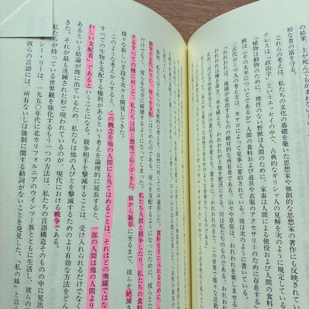 ウエティコ神の目を見よ 古代太陽の終焉と未来
