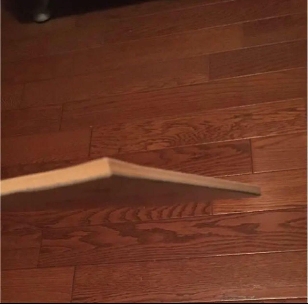 限定品 ドラえもん ガラパ星から来た男 44.5巻