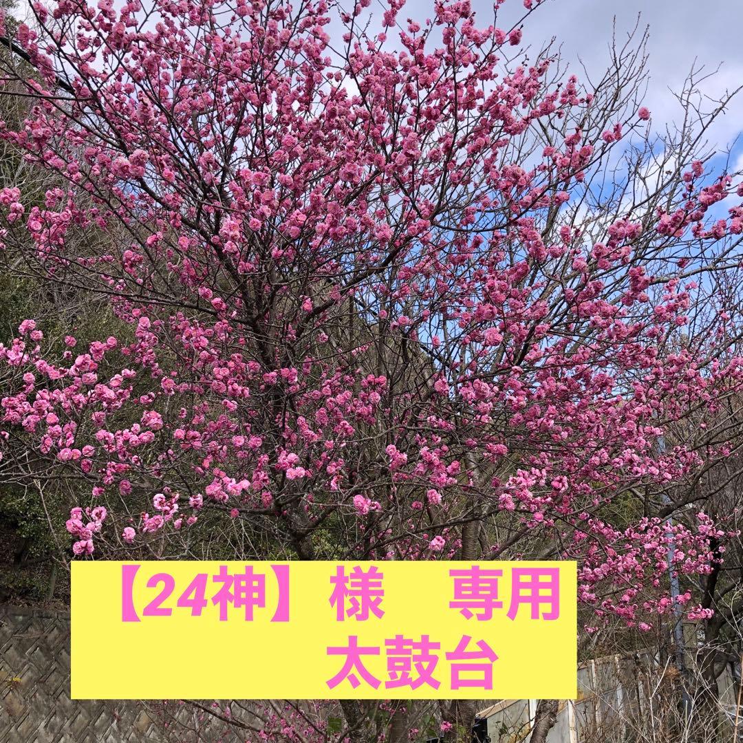 【24神】　　《太鼓台》
