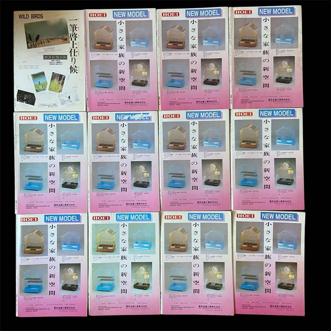 希少 愛鳥家専門誌 ALL BARD オールバード 1987年 創刊号〜 88冊