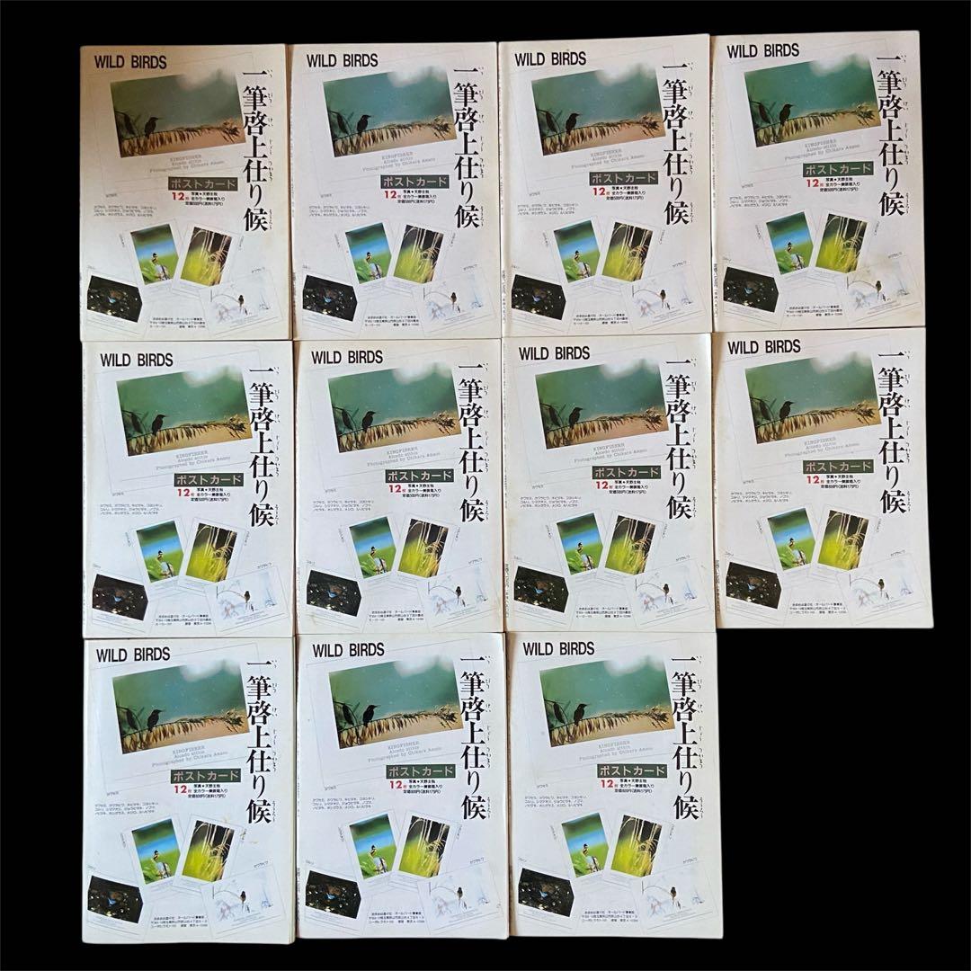 希少 愛鳥家専門誌 ALL BARD オールバード 1987年 創刊号〜 88冊