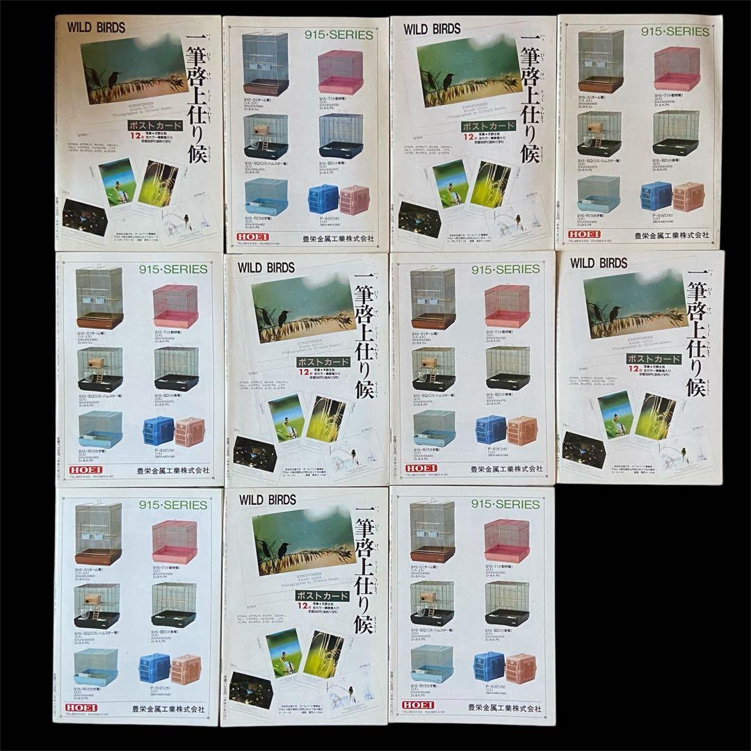 希少 愛鳥家専門誌 ALL BARD オールバード 1987年 創刊号〜 88冊