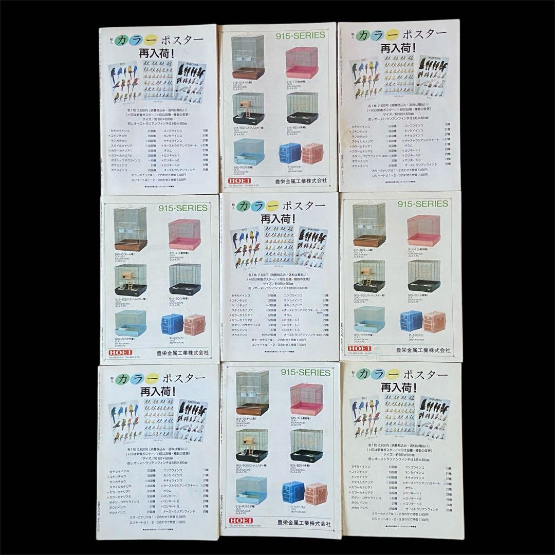 希少 愛鳥家専門誌 ALL BARD オールバード 1987年 創刊号〜 88冊