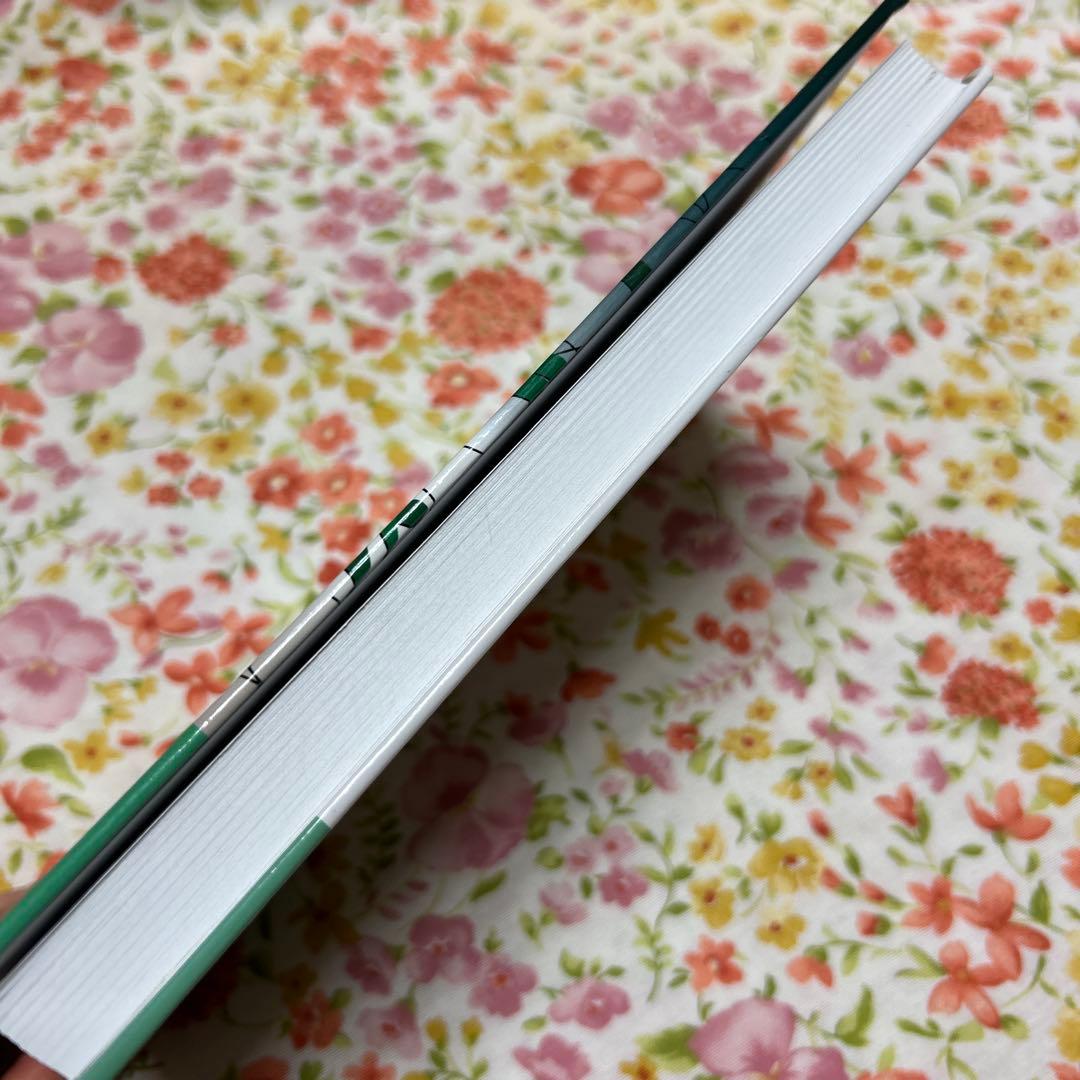 洋書 Spatial Analysis Along Networks