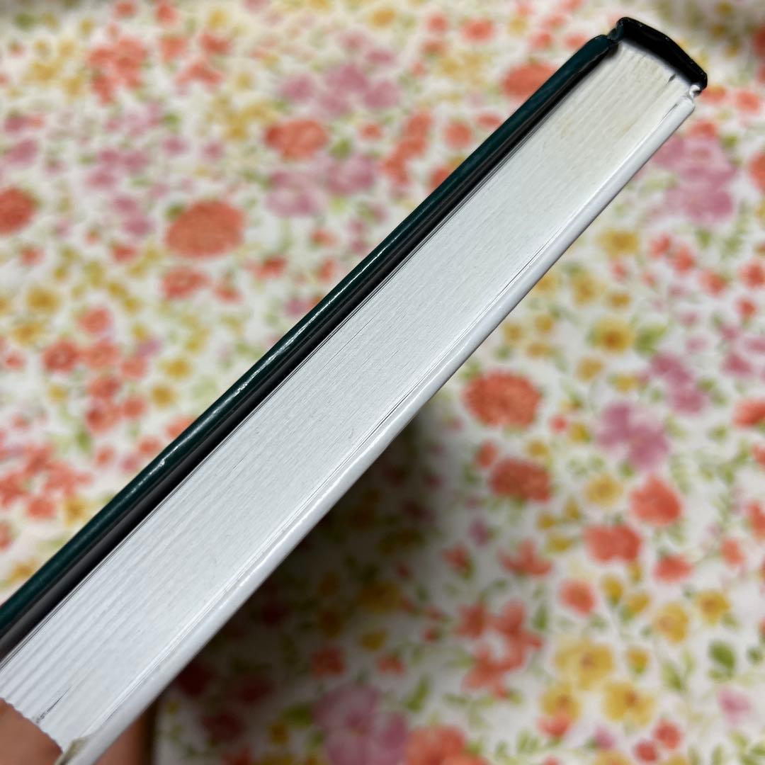 洋書 Spatial Analysis Along Networks