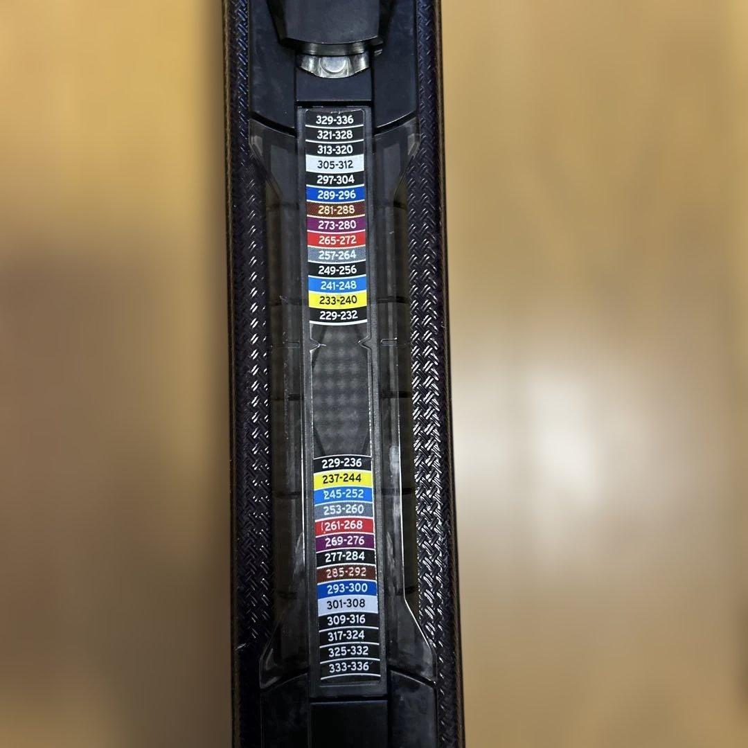 サロモンスキー板 ブラック/グリーン