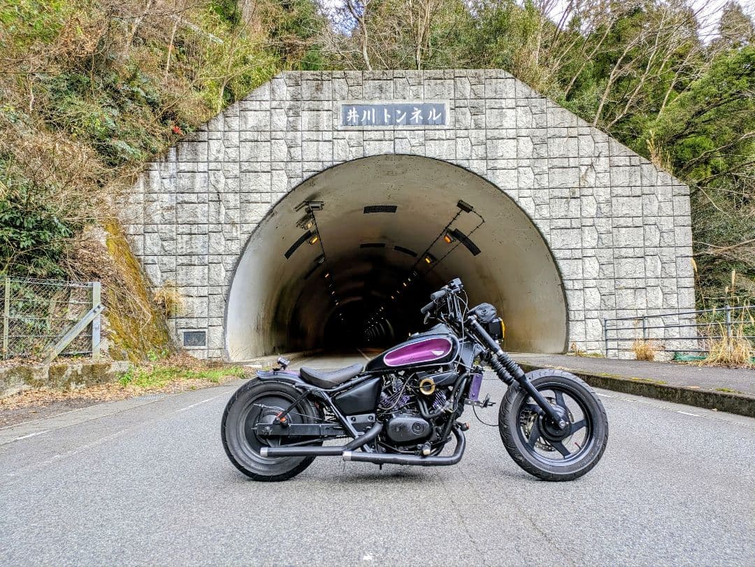 カスタムタンク ブラック/パープル