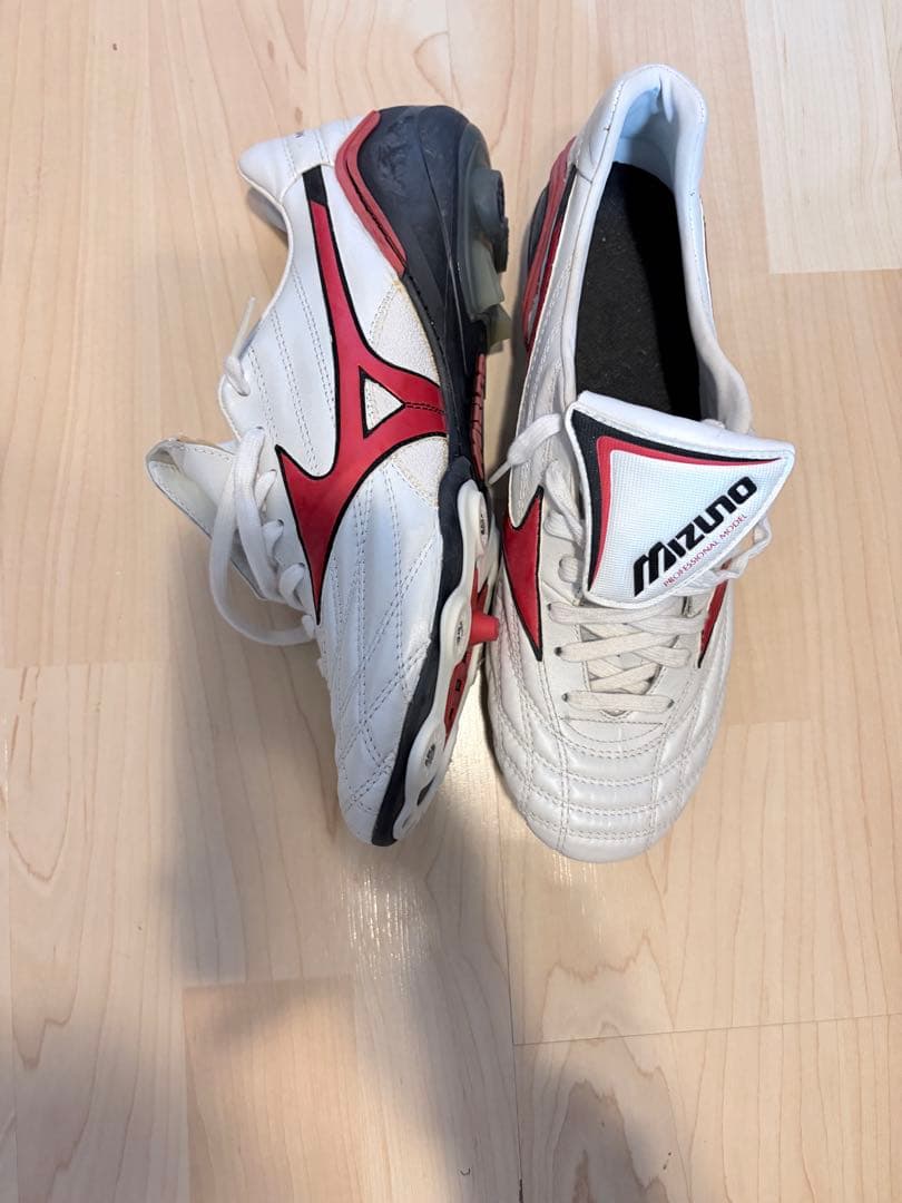 モレリアウェーブ　取り替え式　２６センチ