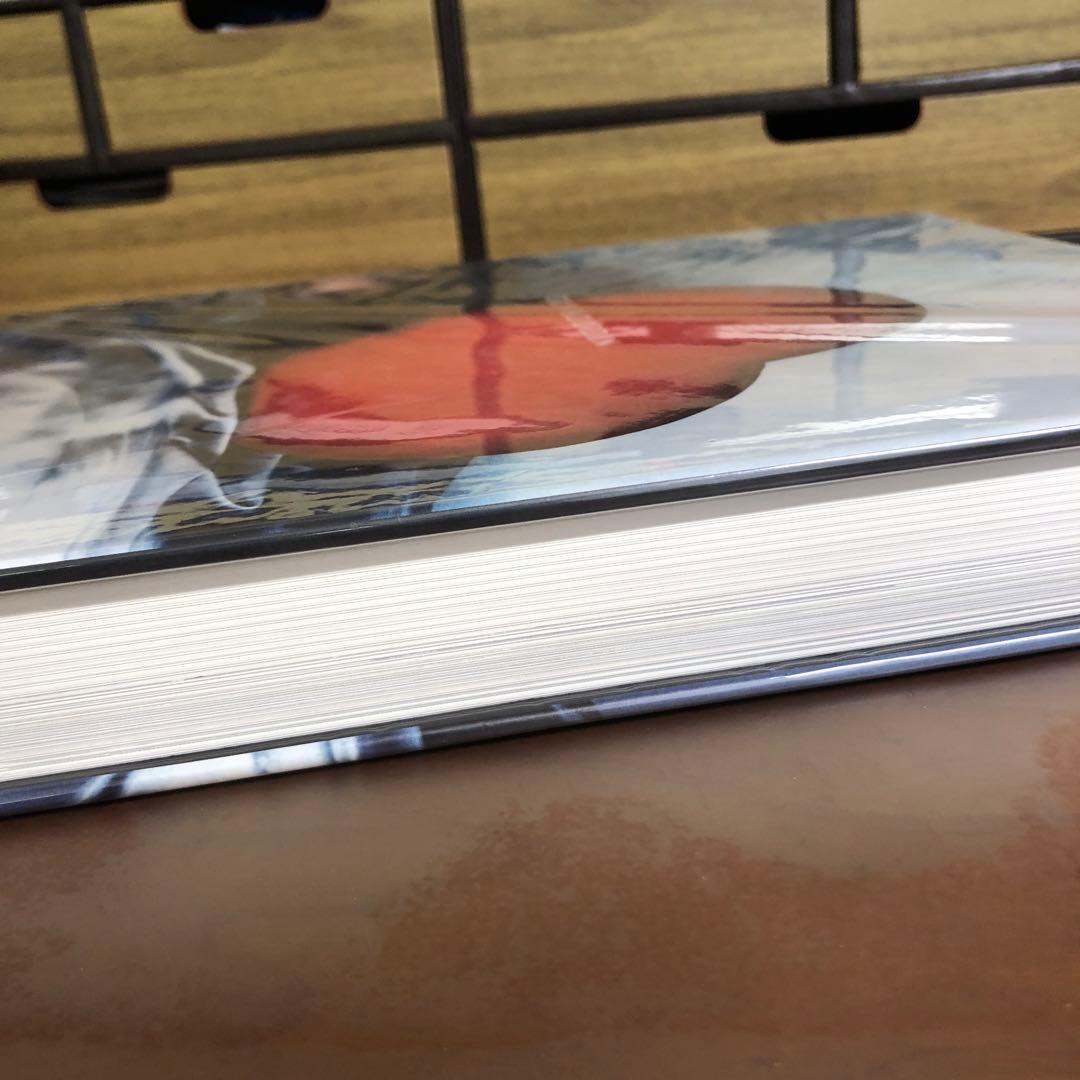 ギイ・ブルダン GUY BOURDIN: A MESSAGE FOR YOU洋書