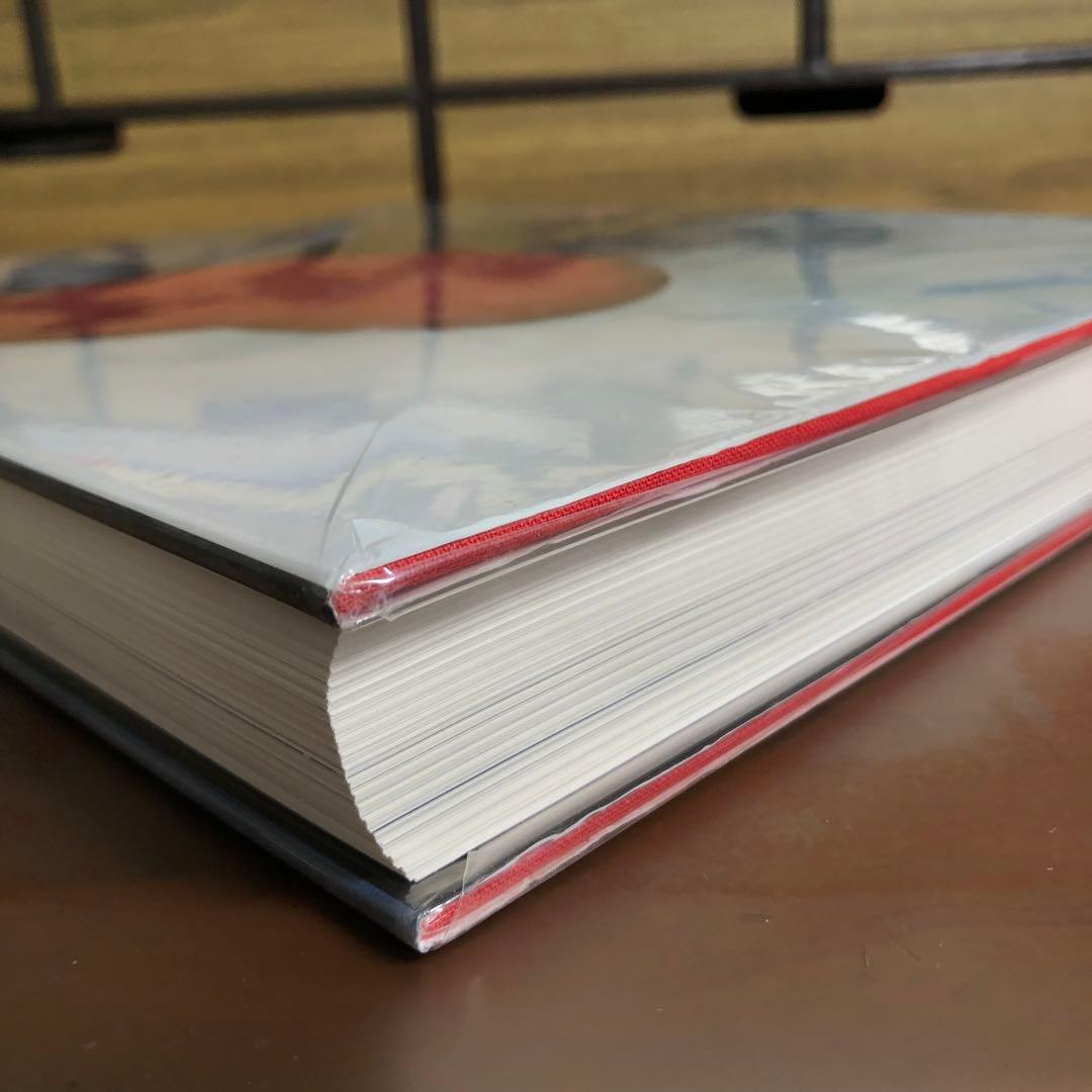 ギイ・ブルダン GUY BOURDIN: A MESSAGE FOR YOU洋書