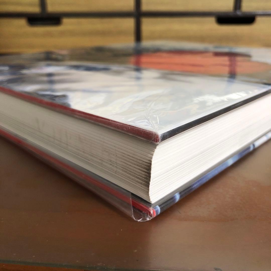 ギイ・ブルダン GUY BOURDIN: A MESSAGE FOR YOU洋書