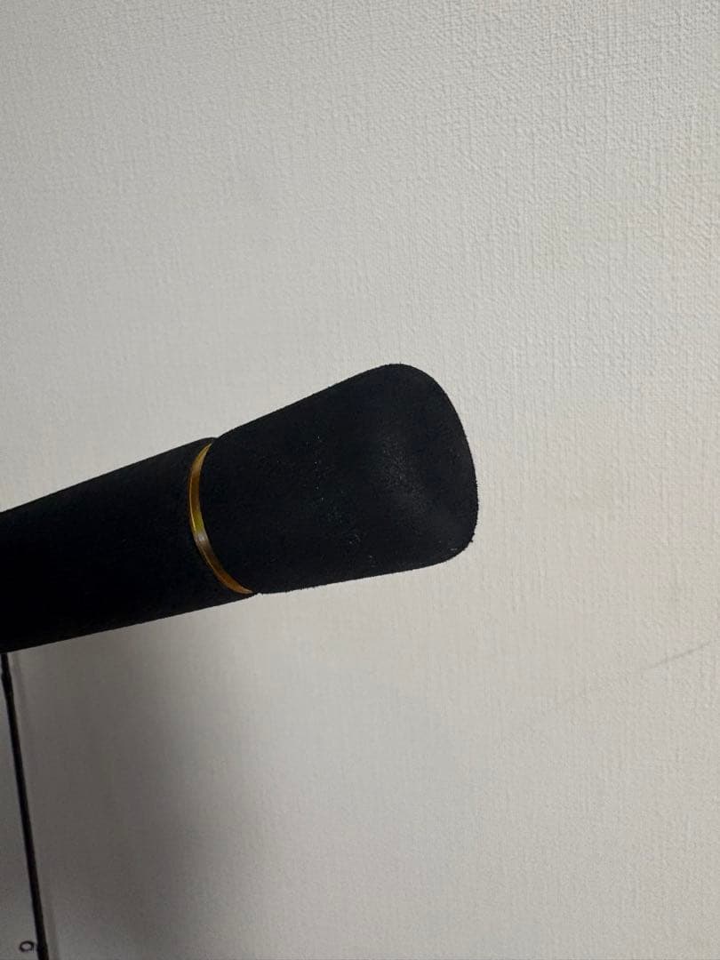 ロッド Daiwa SEABASS HUNTER X 100MH