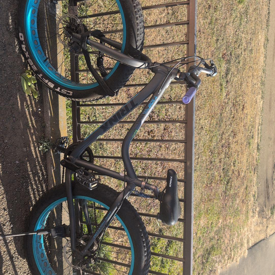 ファットバイク26インチ