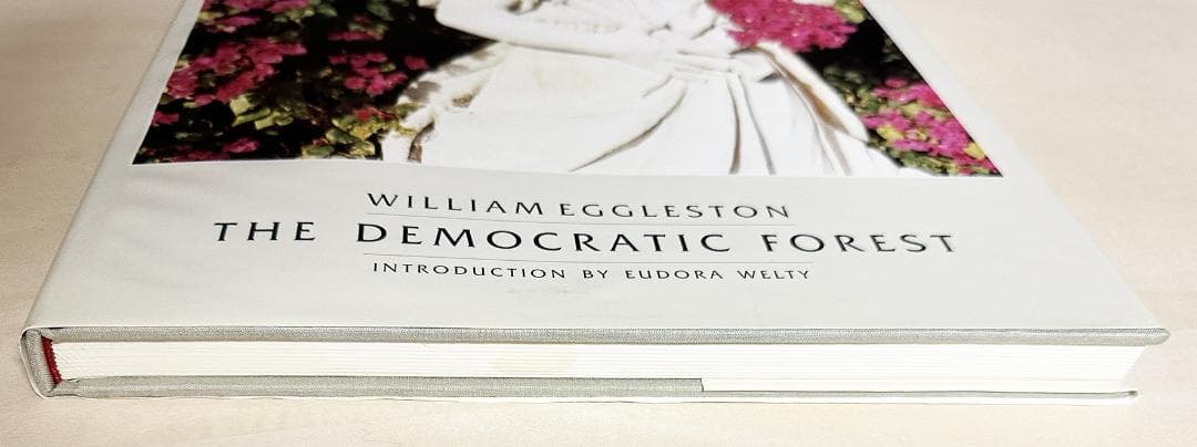 アート・デザイン・音楽 William Eggleston The Democratic Forest