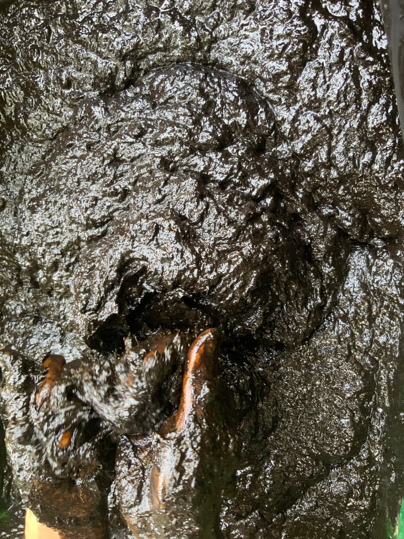 アリスインワンダ　様　３点おまとめ