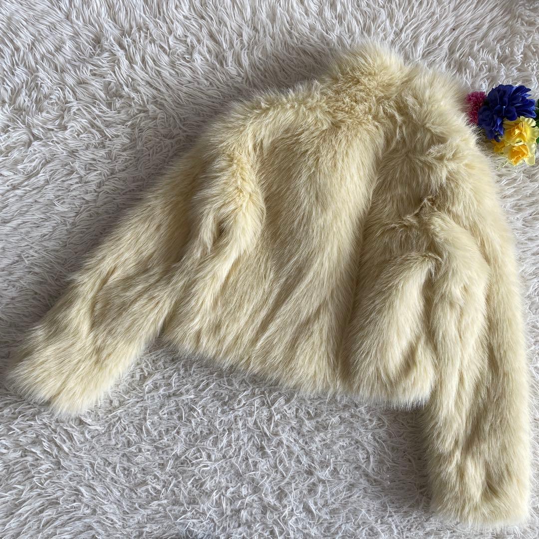 zara ファーコート　ショートコート