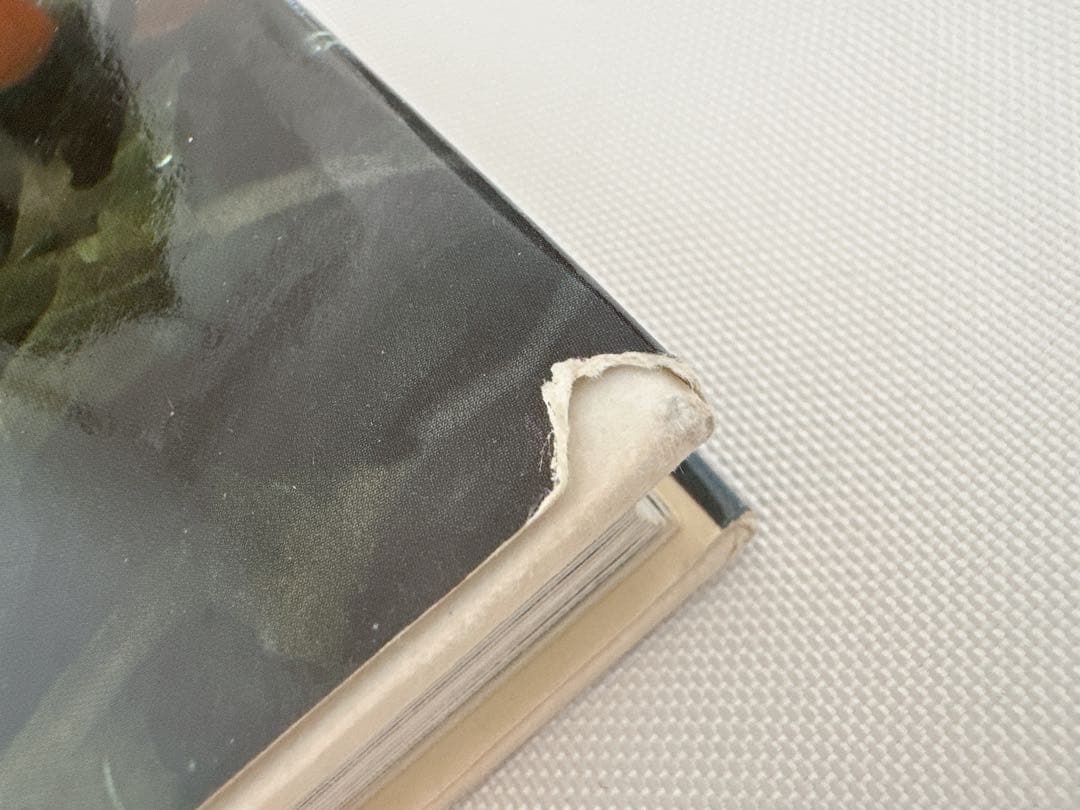 【入手困難大型本】ベルナール・ロワゾー香り立つ料理