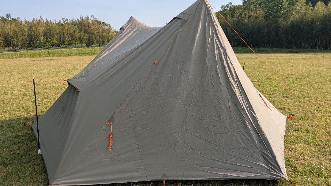 ニーモ NEMO ヘキサライト6p エレメント 二股ポール サブポール 廃盤