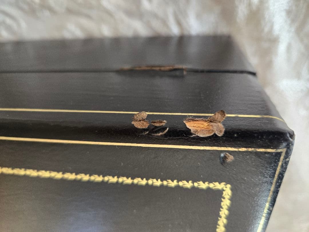 ビスキーナポレオン コニャック バカラクリスタル　古酒