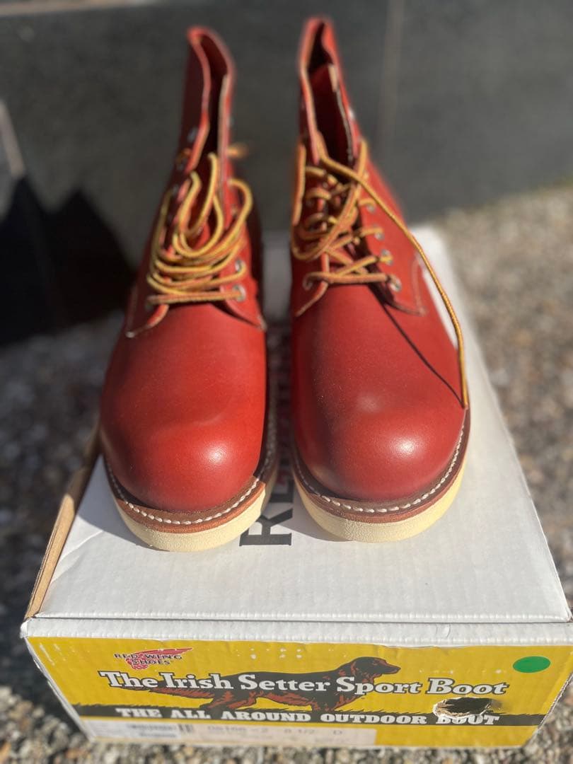 RED WING貴重 復刻犬タグ 8166 6inch アイリッシュセッター