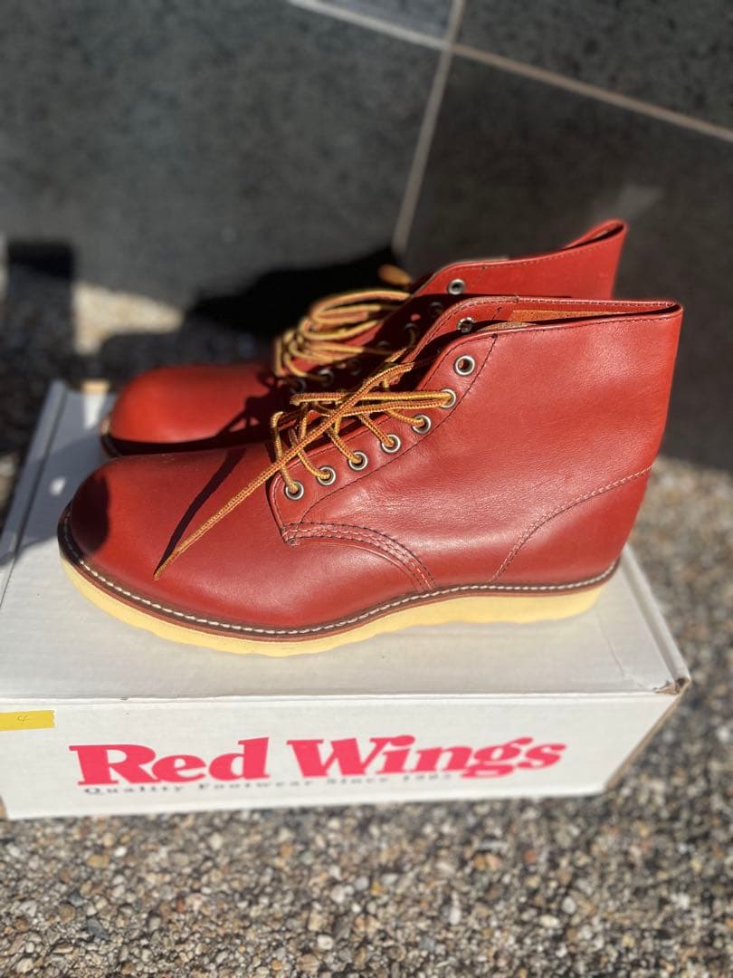 RED WING貴重 復刻犬タグ 8166 6inch アイリッシュセッター