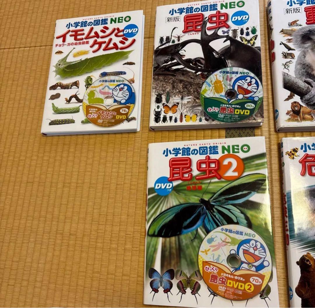 【すしろー】小学館の図鑑NEO 13冊セット　DVD付き　美品